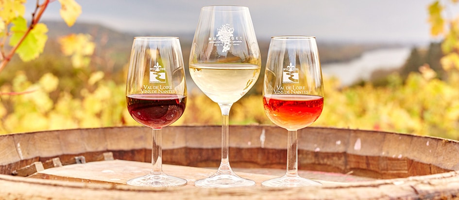Drie verschillende glazen wijn op een ton in Frankrijk.