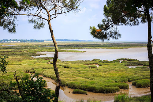 Het kustlandschap is slechts één van de vele gezichten van het regionale natuurpark Médoc.