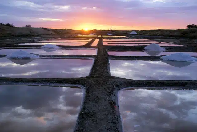 3 salines de millac ©salines de millac hd medium.jpeg