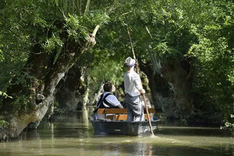 3 maraispoitevin maillezais photo p. baudry 480x320 1