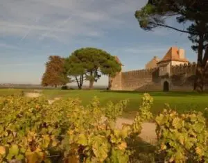 8vignoblechateau d yquem a beguerie 360x282 c 300x235.jpg