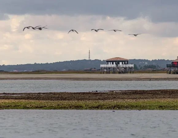 Cabanes tchanquees sur le bassin darcachon ©david remazeilles gironde tourisme w1200 1080x544 1.jpg