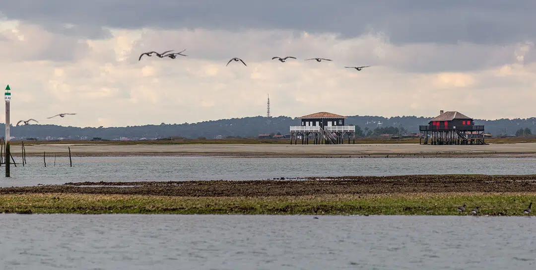 Cabanes tchanquees sur le bassin darcachon ©david remazeilles gironde tourisme w1200 1080x544 1.jpg
