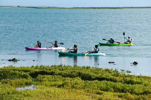 Canoe marais destination ile de re yann werdefroy 480x320 1