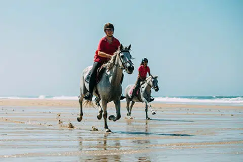 Cheval sur une plage des landes cdt 40 landes 480x320.jpg