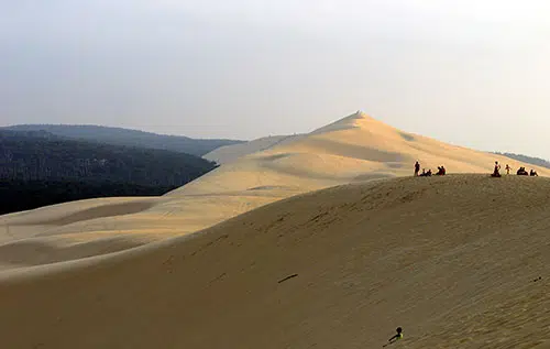 Dune du pilat1©laurent reiz 1