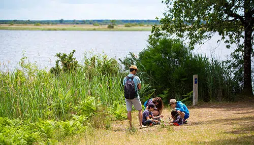 Etang de cousseau a lacanau © david remazeilles gironde tourisme