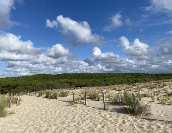 Le porge ocean plage 33