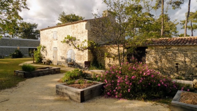Maison1 medium