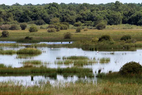 Medoc atlantique etang de cousseau credit cdje 1moment1image 480x320 1