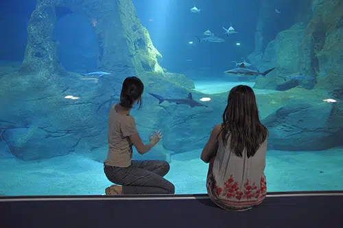 Musee de la mer © biarritz ocean l