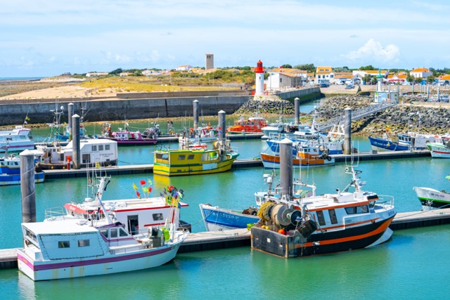 Port de peche de la cotiniere 46414 medium