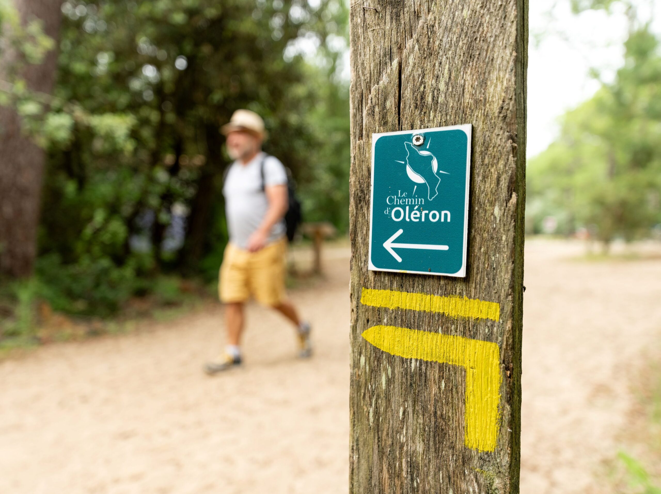 Rando gatseau@les coflocs 3 scaled 1