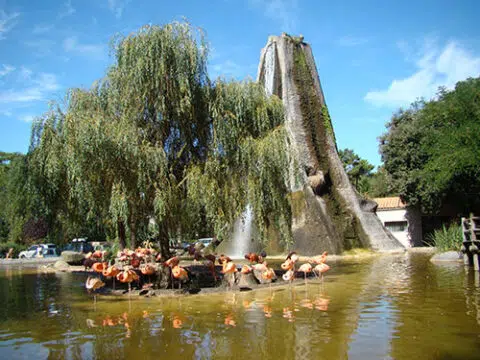 Zoo de la palmyre credit sarah gaudin cmt17 480x360 1