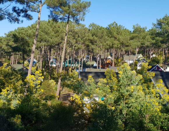 Camping la jenny 2019 credit la jenny vacances scaled 1