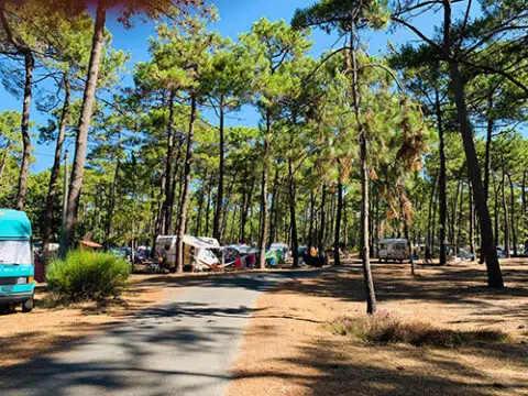 Campinggurp 480x360.jpg