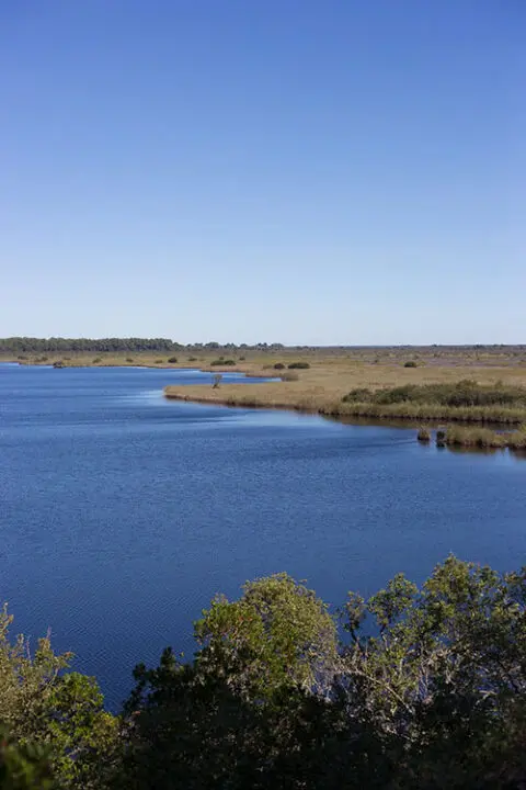 Etang de cousseau credit david remazeilles 480x720 1
