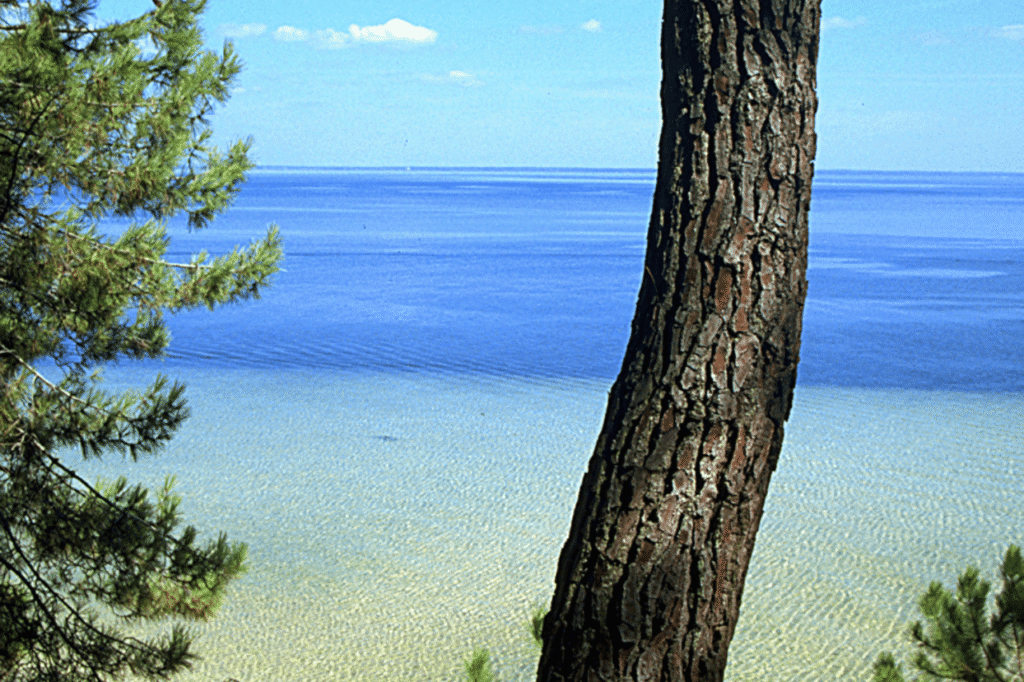 Meer van biscarosse 1 1280x853 1