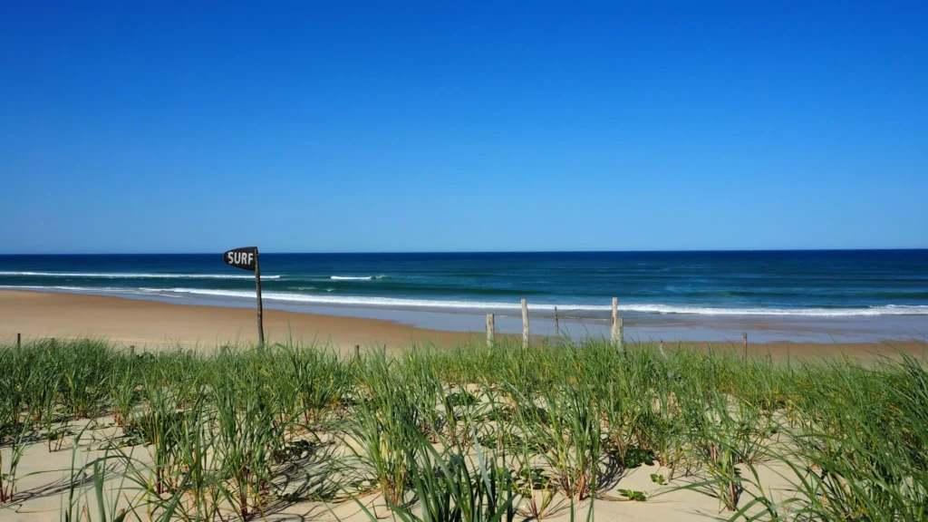 Plage de lespecier mimizan scaled.jpg