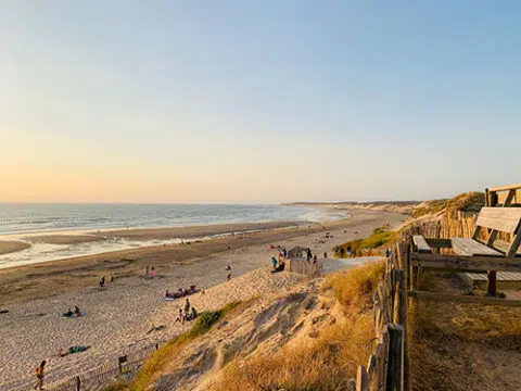 Plagegurp 480x360.jpg
